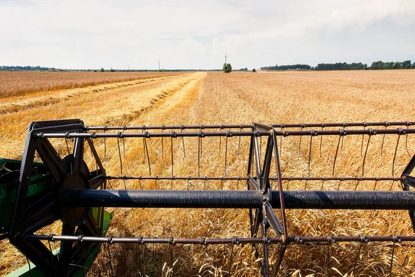 小麦フィールド作業を収穫するための収穫機 黄金の熟したコムギ畑を収穫する収穫機を組み合わせる — ストック写真