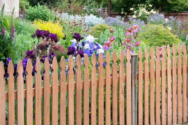 Recinzione Legno Giardino Colorato Giardino Fiorito Primavera — Foto Stock