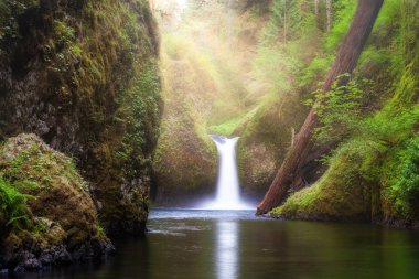 Punç kasesinin düşüyor şelale Eagle Creek adlı Columbia River Gorge Oregon boyunca üzerinde kirişler güneş ışın
