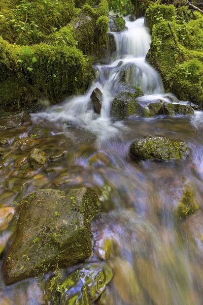 Pequenas Cachoeiras Fluindo Sobre Rochas Musgo Verde Longo Wahkeena Creek — Fotografia de Stock