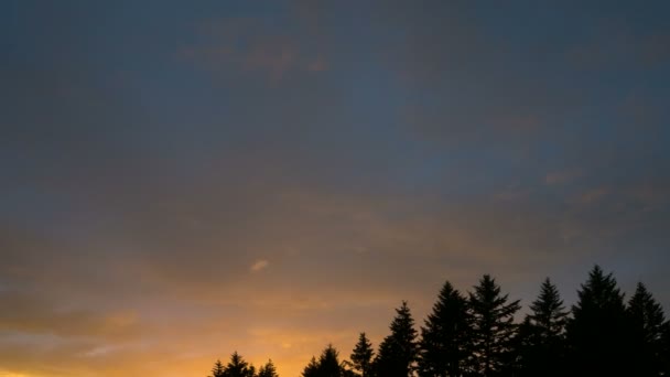 Ultra Alta Definição Timelapse Vídeo Nuvens Movimento Sobre Árvores Luz — Vídeo de Stock