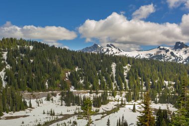 Tatoosh aralığı doğal görünüm Washington eyaletinde Mount Rainier Milli Parkı kar ile kaplı