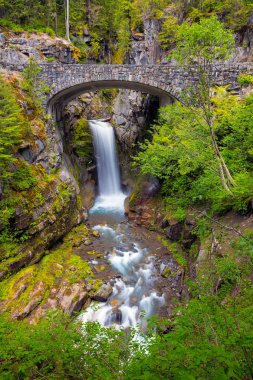 Christine Falls taş altında Mount Rainier Milli Park Washington eyaletinde doğal sürücü boyunca Van Trump Creek üzerinde köprü