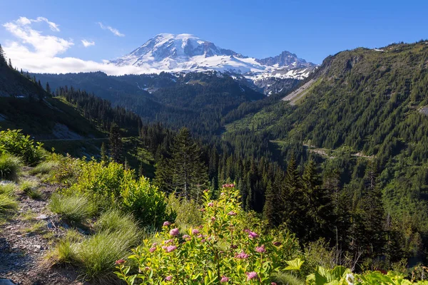 Schilderachtig Uitzicht Mount Rainierin Nationaalpark Washington Staat Een Zonnige Dag — Stockfoto