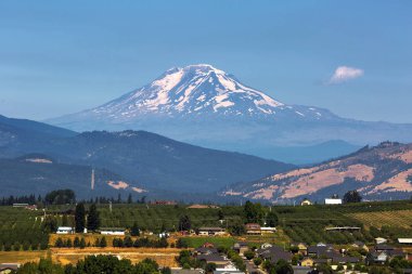 Mount Adams Hood River Vadisi Meyve bahçelerinde Oregon açık mavi gökyüzü güneşli bir yere