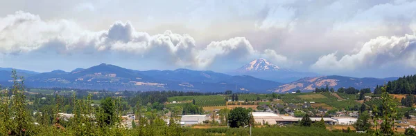 Fazendas Pomar Frutas Vale Rio Hood Oregon Verão Panorama — Fotografia de Stock