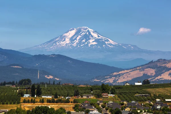 Mount Adams Över Hood River Valley Fruktodlingar Oregon Klarblå Himmel — Stockfoto