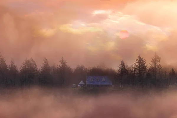 Nebbia Alba Sopra Fattoria Una Collina Columbia River Gorge Oregon — Foto Stock