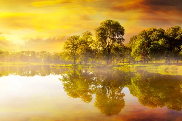 Mlhavo Golden Sunrise Jezero Rybaření Trojan Parku Rainier Oregon — Stock fotografie