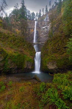 Columbia River Gorge Oregon 'daki Multnomah Şelalesi kış mevsiminde