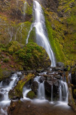 Columbia River Gorge Oregon 'daki Açlık Deresi Şelalesi