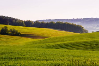 Çimenli alan sakin göl ve bulutsuz gökyüzünde yukarıdaki üzerinde kalın ormanlar ve hafif sis tarafından çevrili bahar. Güneş perdeleri kaybolur. Işık solmaya