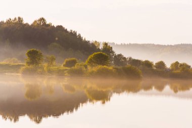 Küçük çalılar ve ağaçlar yansımaları yüzeyi yaz göl kalın woods tarafından çevrili. Sakin göl üzerinde sabah sis. Yaz sisli şafak
