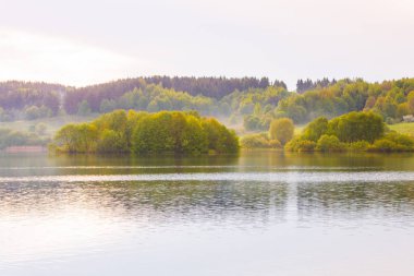 Sonbahar manzara şehir dışında. Yeşil ve sarı ağaçlar, Belarus yerel gölü çevreleyen kalın orman. Yansıtan zengin bitki örtüsünün su yüzeyinde ripples