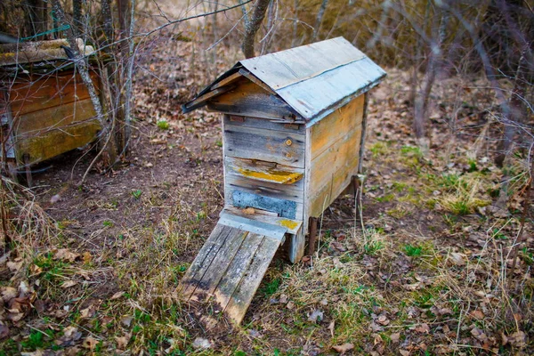 Alter hölzerner Bienenkorb mit Metalldach in der Landschaft im Frühling — Stockfoto