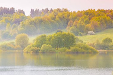 Kalın Sonbahar Woods Gölü dalgalanan yakınındaki sakin manzara