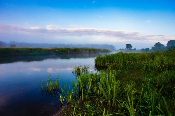 Mglisty Rzeki Pośród Bujnej Roślinności Błękitne Niebo Krajobraz Wschód Słońca — Zdjęcie stockowe