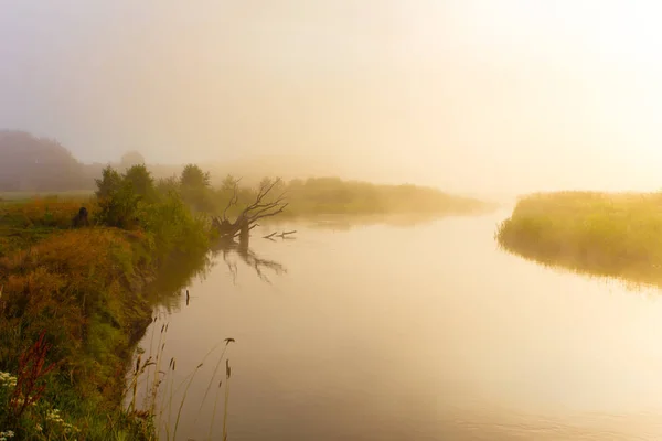 Прекрасний Літній Схід Сонця Над Туманною Річкою Сільській Місцевості — стокове фото