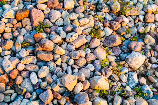 Pebbles Luz Sol Deitado Macro Costa — Fotografia de Stock