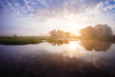 Kırsal parlak güneşli görünümünde. Yaz manzara