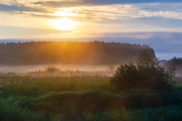 Raggi Sole Che Scorrono Attraverso Dense Nuvole Paesaggio Rurale — Foto Stock