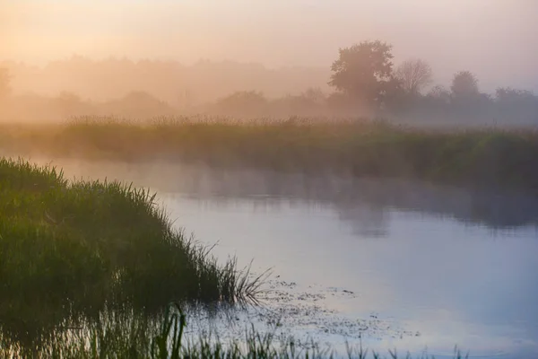 Courbe Rivière Couverte Brouillard Épais Dans Campagne — Photo