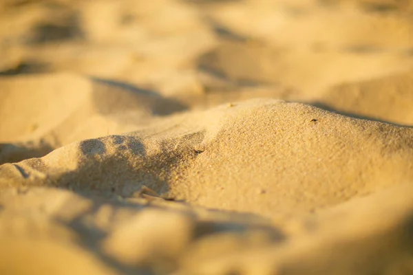 Мелкий Песчаный Макро Берегу Местной Реки — стоковое фото
