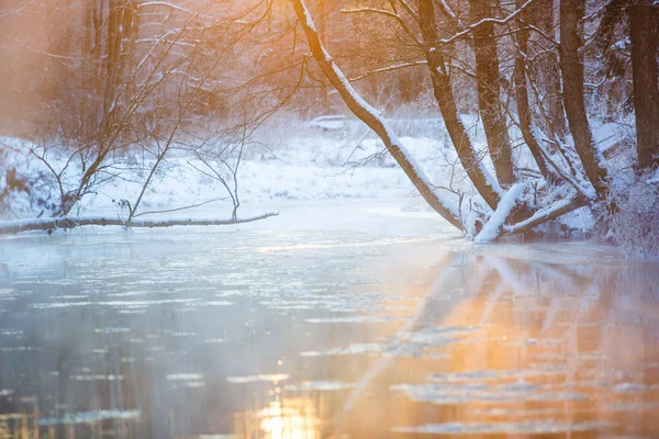 Rivière Étroite Glacée Traversant Une Forêt Mixte Paysage Hivernal — Photo