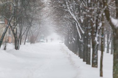 Minsk, Beyaz Rusya - 17 Ocak 2017: Zakharova sokakta sert esen şiddetli kar fırtınası. İnsanlar kışın şiddetli kar yağışı nedeniyle yürürken zorlanıyor