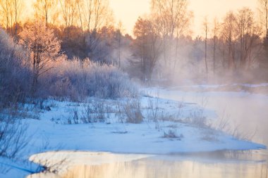 Parlak yapraklara hoarfrost ağaçların kış orman, akış