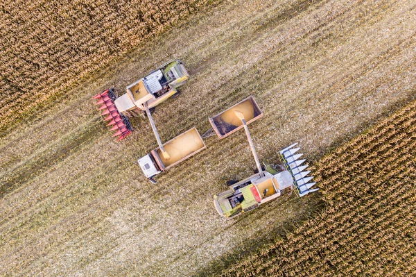 Baidaki Biélorussie Octobre 2018 Récolte Maïs Dans Les Champs Agriculture — Photo