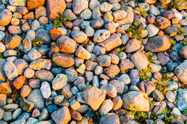 Pebbles Ligger Stranden Starkt Solljus Stone Textur — Stockfoto