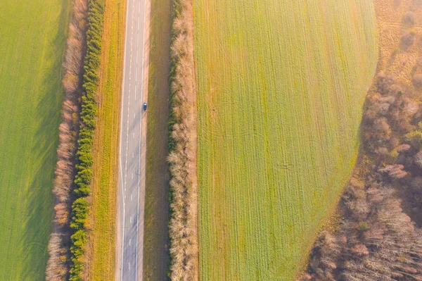 Drumul Local Înconjurat Terenuri Agricole Verzi Peisaj Toamnă — Fotografie, imagine de stoc