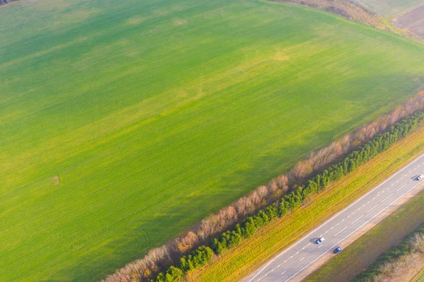Vedere Aeriană Luminoasă Terenurilor Agricole Verzi Peisaj Rural — Fotografie, imagine de stoc
