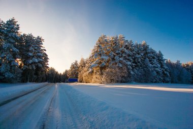 Kış yol karlı ormandaki. Soğuk hava manzara