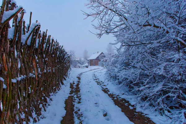 Local Winter Road Leading Small Country House Snowy Landscape — Stock Photo, Image