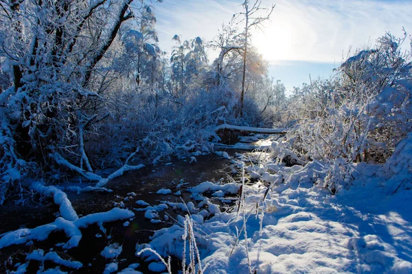 Winziger Bach Fließt Sonnigen Tagen Durch Verschneite Wälder — Stockfoto