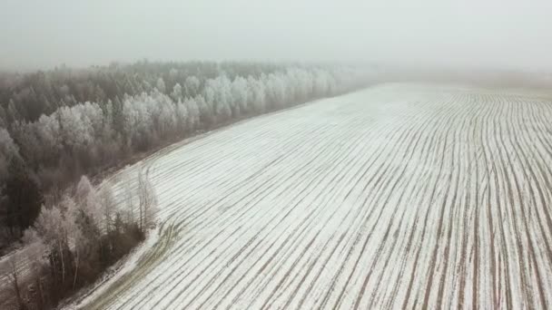 Campo Primaverile Nella Neve Terreni Agricoli Verdi Paesaggio Aereo — Video Stock