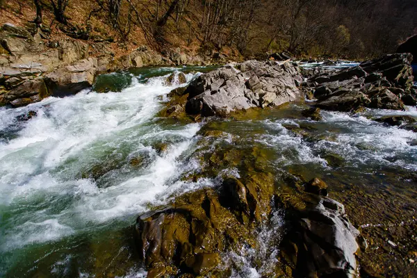 Rocks Washed Mountain Stream Spring Scenery — Stock Photo, Image