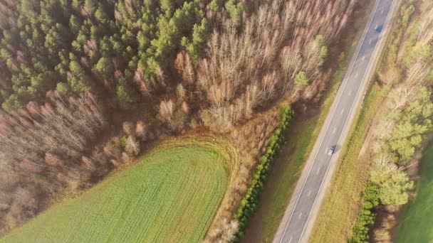 Boslandschap Luchtfoto Het Voorjaar Gebied Van Landbouw Groene Velden — Stockvideo