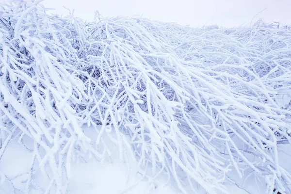 Starker Schneefall Nach Schneesturm Auf Dem Land Natürliche Textur — Stockfoto