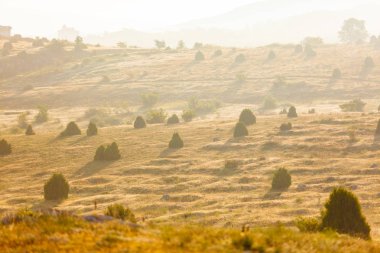 Puslu dağlar sabah. Güneşli manzara. Turizm kavramı