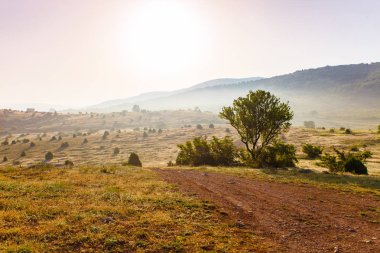 Sabah güzel dağlık manzara. Keşif kavramı