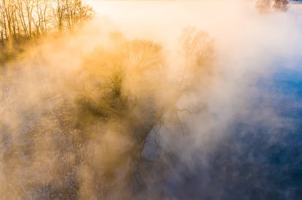 Morning landscape. Beautiful sunrise over foggy area. River and trees in morning — Stock Photo, Image