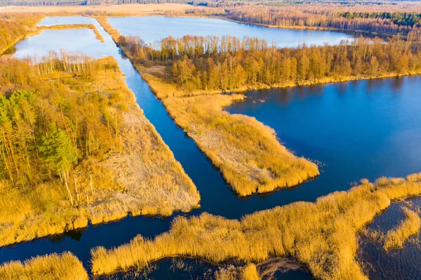 Torf ląduje anteną. Piękny wiosenny krajobraz. Jasne słońce świeci nad obszarem wiejskim — Zdjęcie stockowe