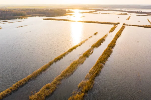 Turf land bedekt met waterlandschap. Zonnig landschap op het platteland Stockfoto