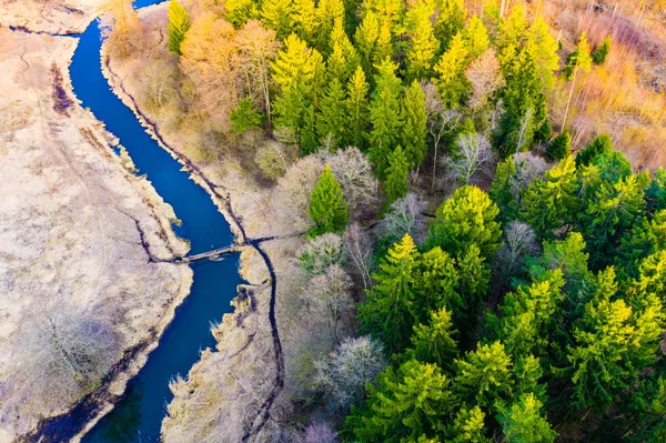 春の空中風景。川カーブ近くの森林の乾季。コールドシーズンのコンセプト — ストック写真