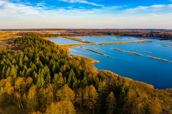 Modrá jezera obklopná hustým výhledem do lesa. Koncept sezóny. Krásný obrázek — Stock fotografie