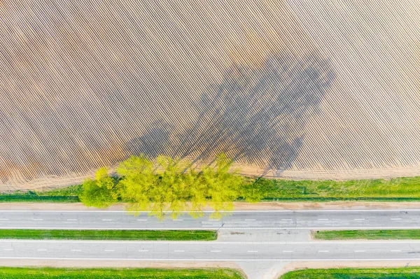 Jordbrukskonsept. Mønstret dyrkbar mark i tørr sesong. Luftlandskap – stockfoto