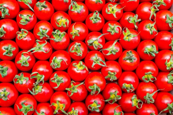 Vörös paradicsom felülnézet. Érett zöldségek közelről. Egészséges táplálkozás koncepció — Stock Fotó